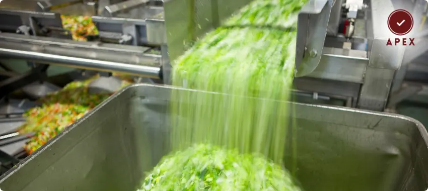 HALAL certification in bahrain