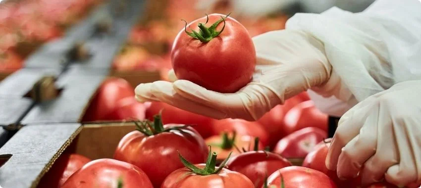 why-every-food-business-needs-a-haccp-certificate