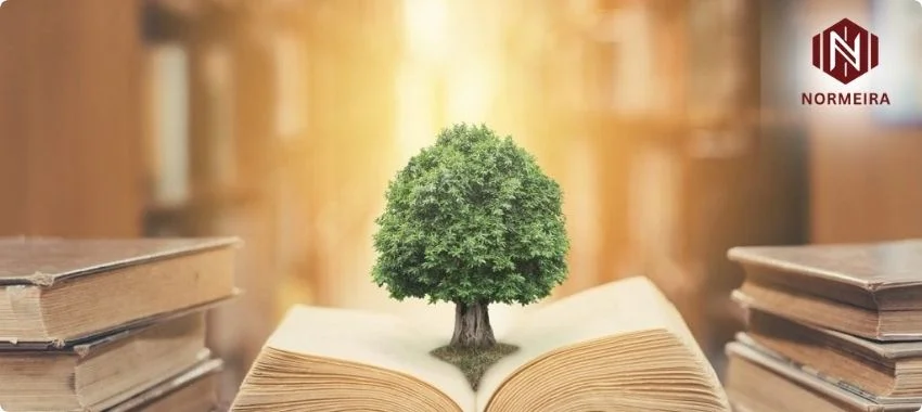  ISO 14001 Certification in Jeddah.