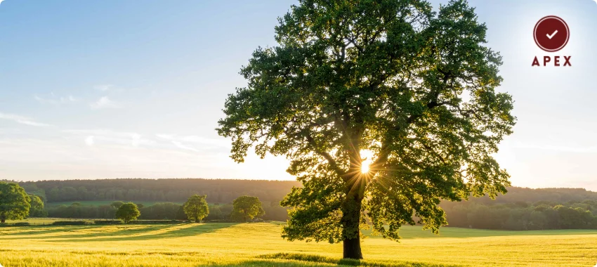  ISO 14001Certification in Mecca.