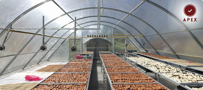 Ensure your food or product business complies with Islamic standards. Apply for HALAL Certification in Kuwait with expert support.