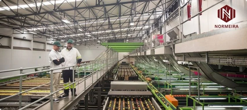  GMP Certification in Oman 