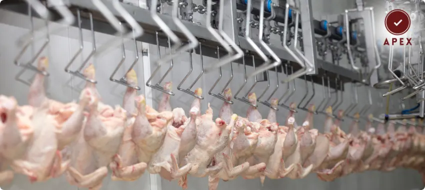 Qatar Halal Certified Products