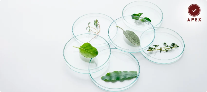 ISO 20400 Certifications